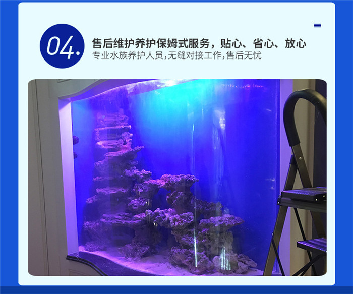 广东买单冷还是冷暖_广东水族培训_广东日生水族冷暖机